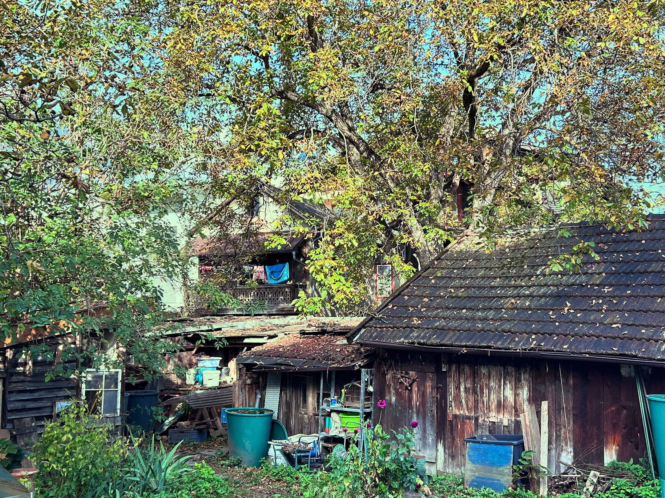 Garten Schmiedgasse Innsbruck