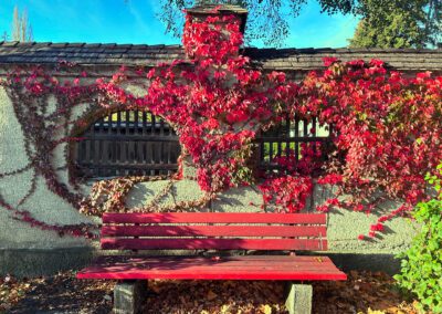 Bank Pradler Friedhof