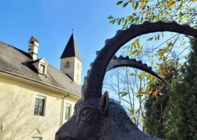 Steinbock Alpenzoo Weiherburg